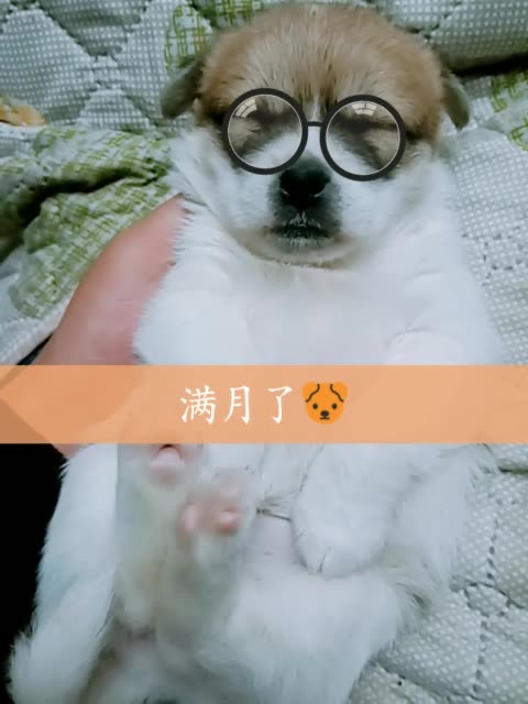 快手直播