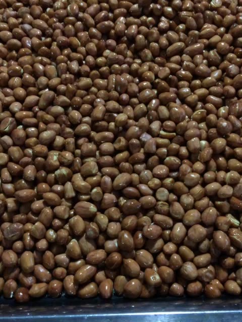 花生酥起,小酒喝起 173        赞                   评论