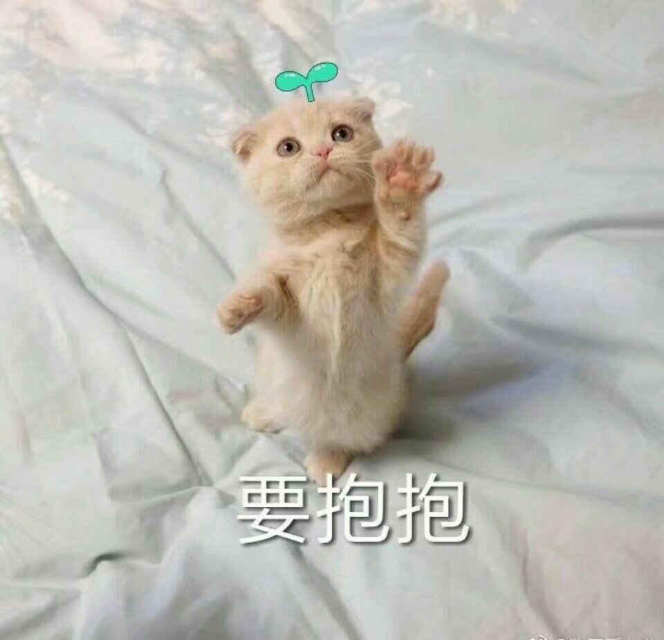 快手直播
