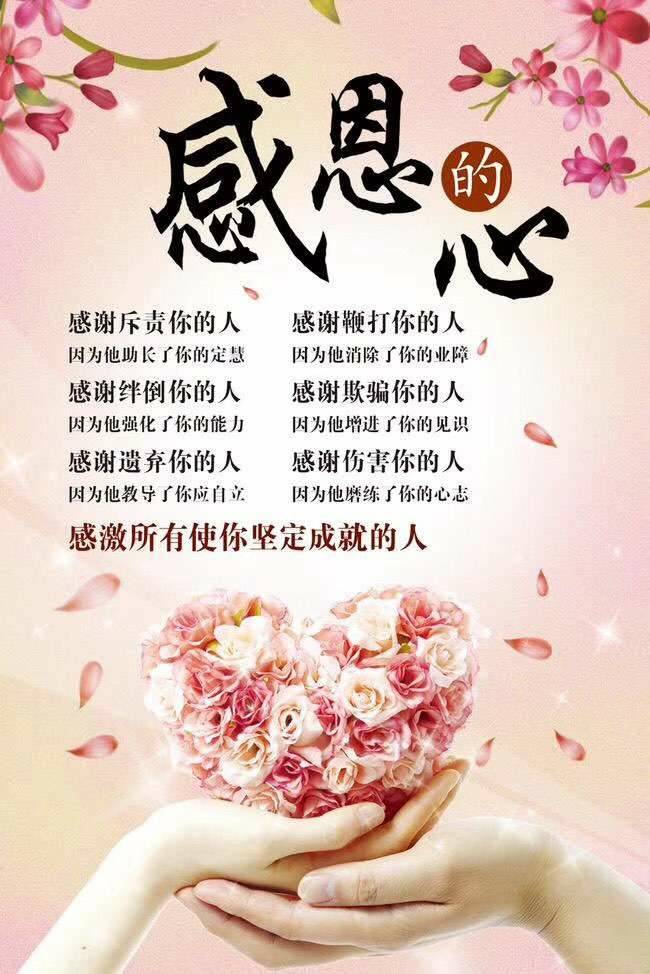 感恩的心 2年前