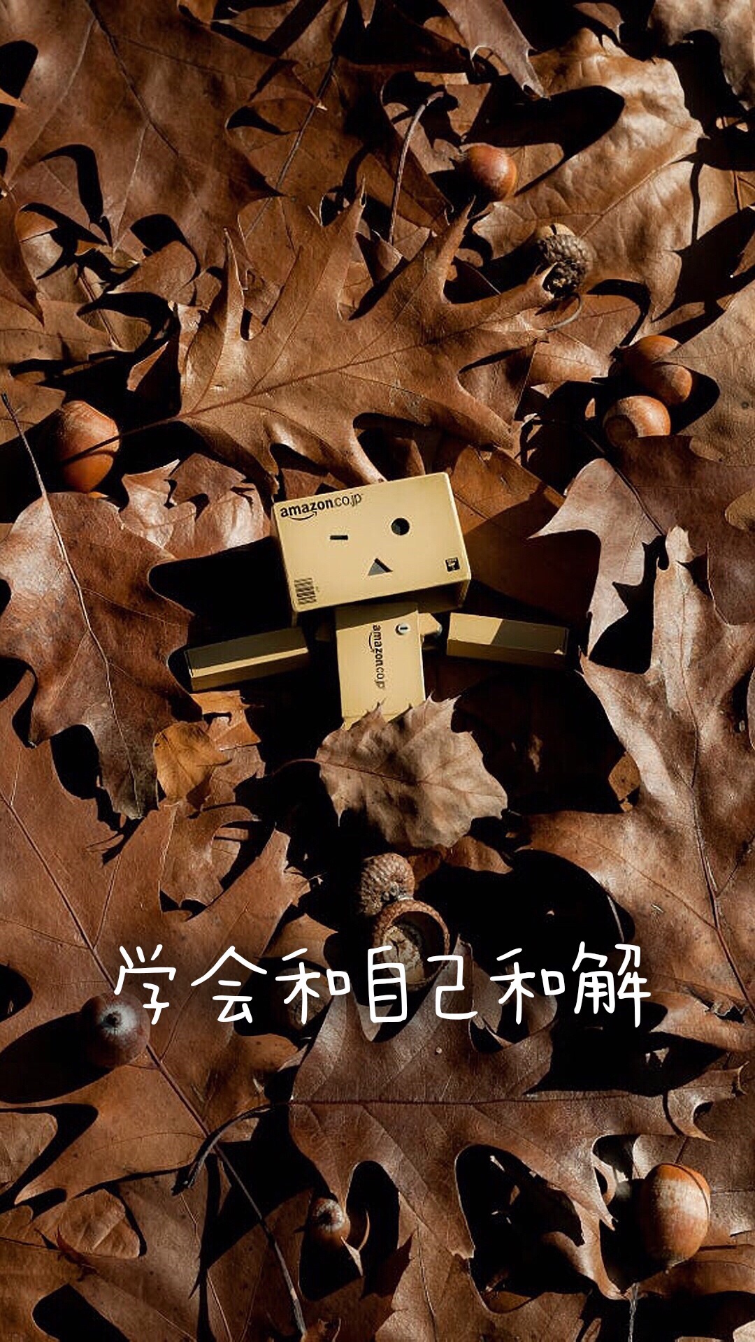 阿颖是个仙儿94的主页-快手直播