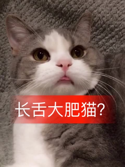 快手直播