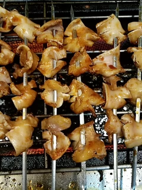 珲春鱿鱼哥烧烤小筋屋的主页-快手直播