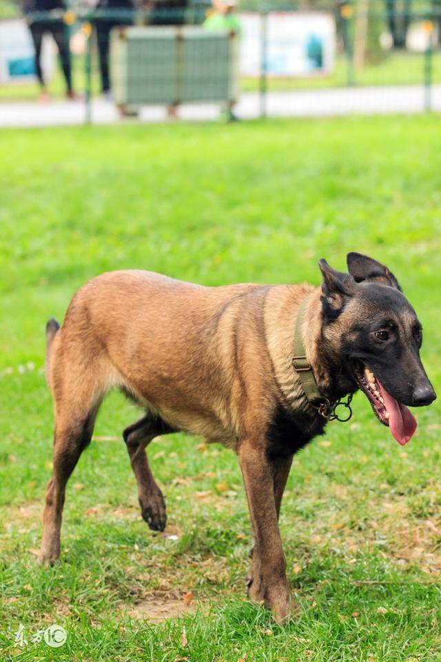 对你我一直很用心