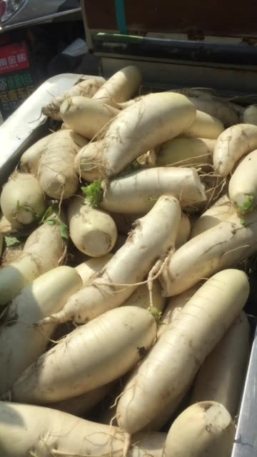 小郑小梦桐的主页-快手直播