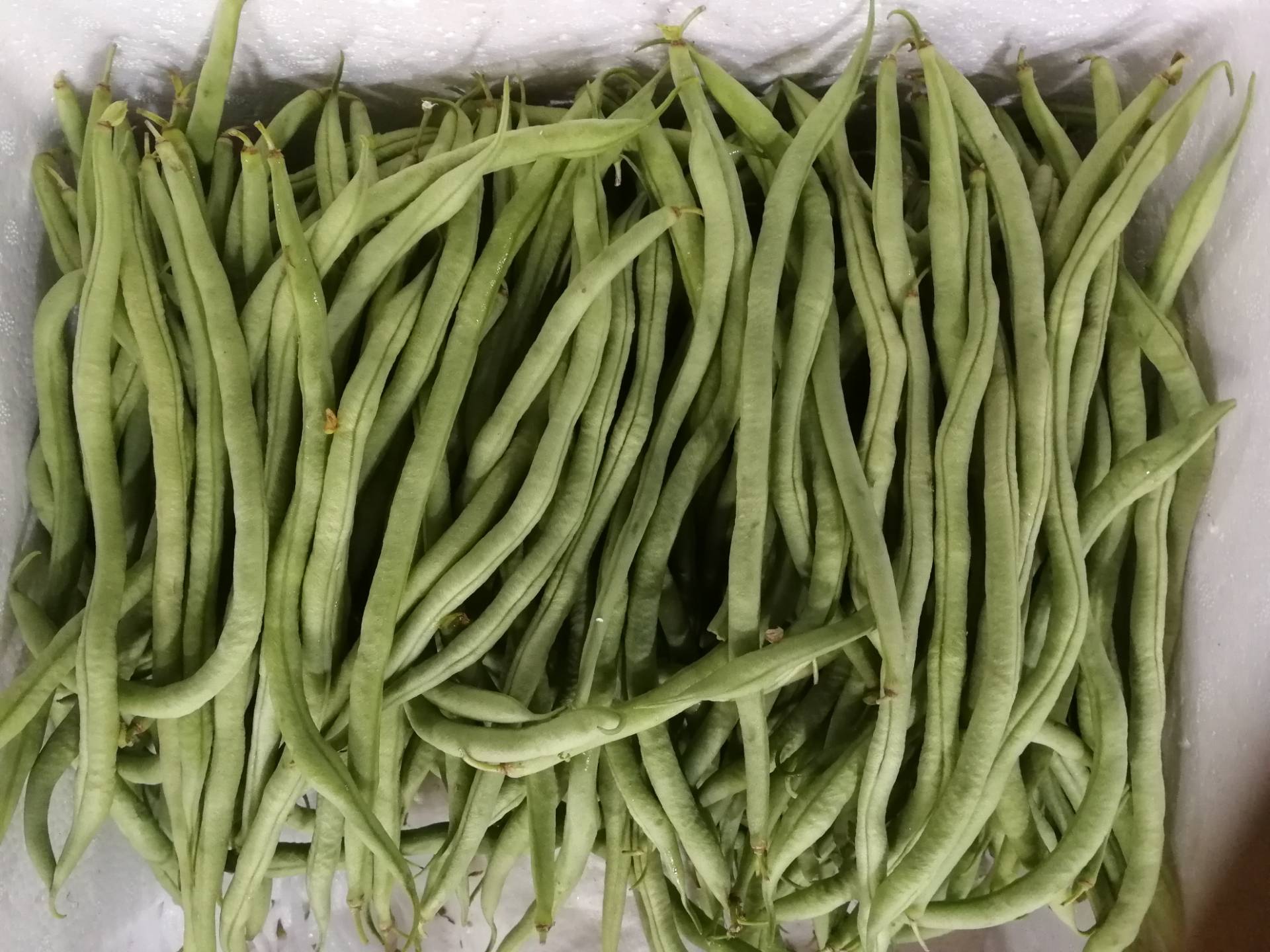 架豆王! 141       赞       4月前