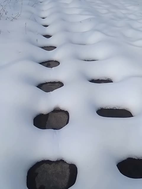 雪坑. 261       赞                   评论              8月前