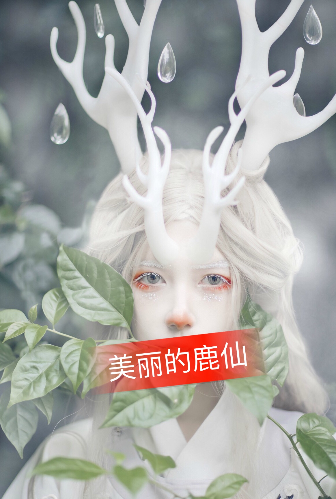 摄影来自:爱摄影的焕焕 95 - 念奴娇61的快手