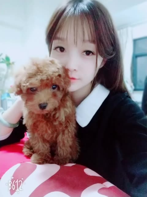 快手直播