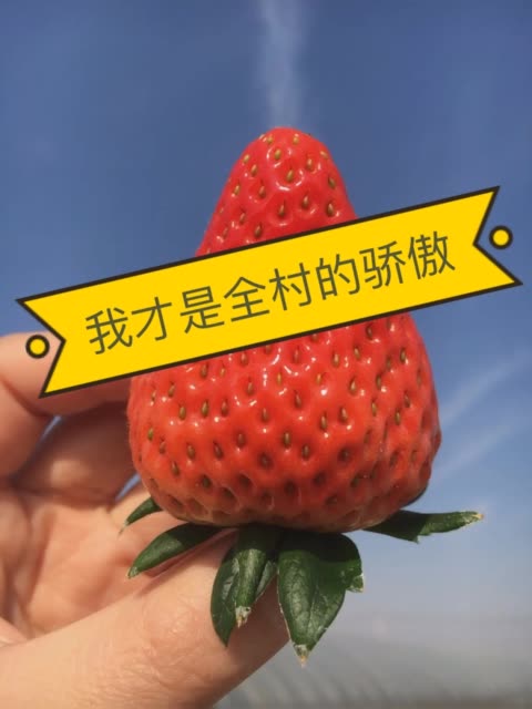 这才是全村的骄傲! 2年前