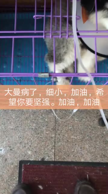 快手点赞墨_快手点赞功能