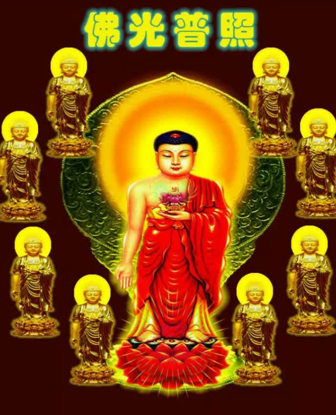 香香妙喜师父佛国宝宝