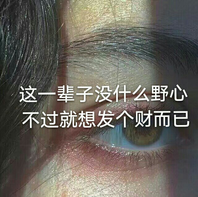 这一辈子没什么野心 不过就想发个财而已