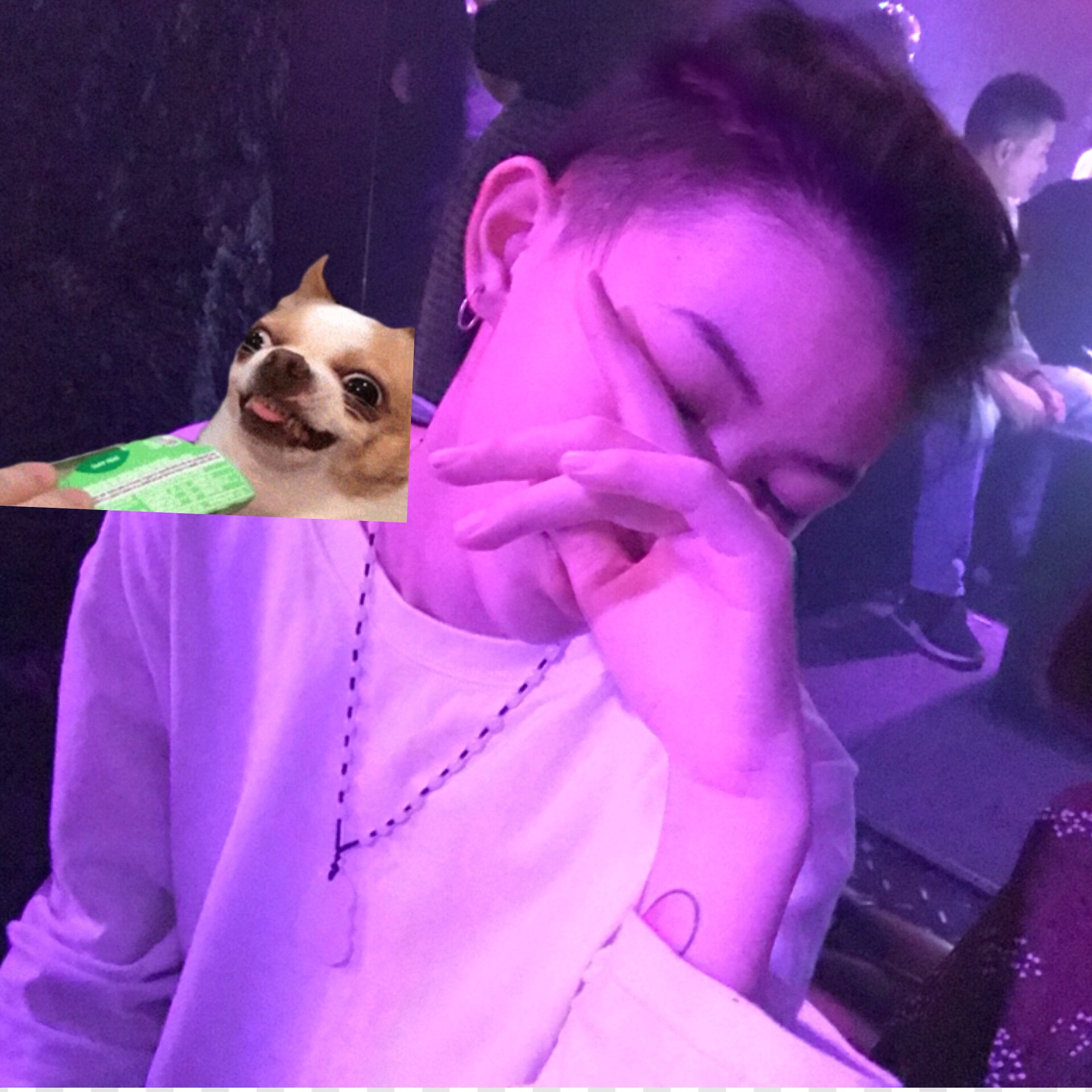 忙有忙的活法 闲有闲的淡定 676767 - 王迪文$$的快手