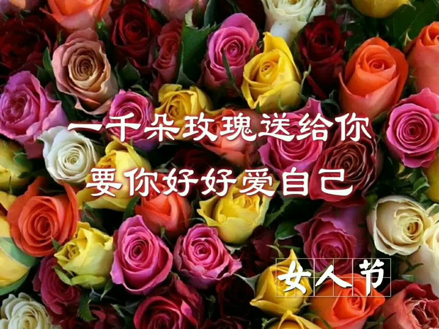 祝!所有的女士们节日快乐,永远年轻漂亮 145       赞       2月前