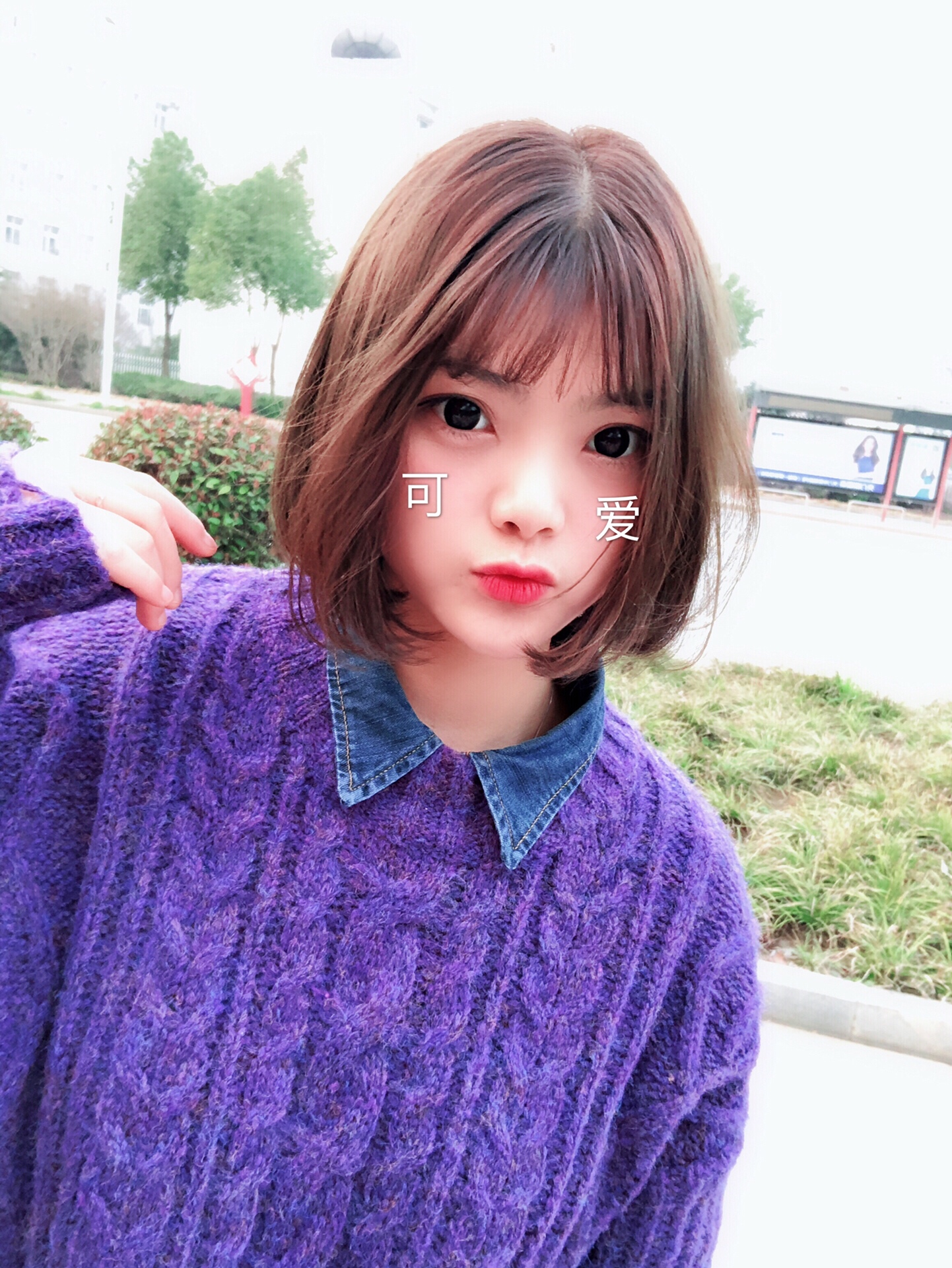 mua谢可爱的主页-快手直播