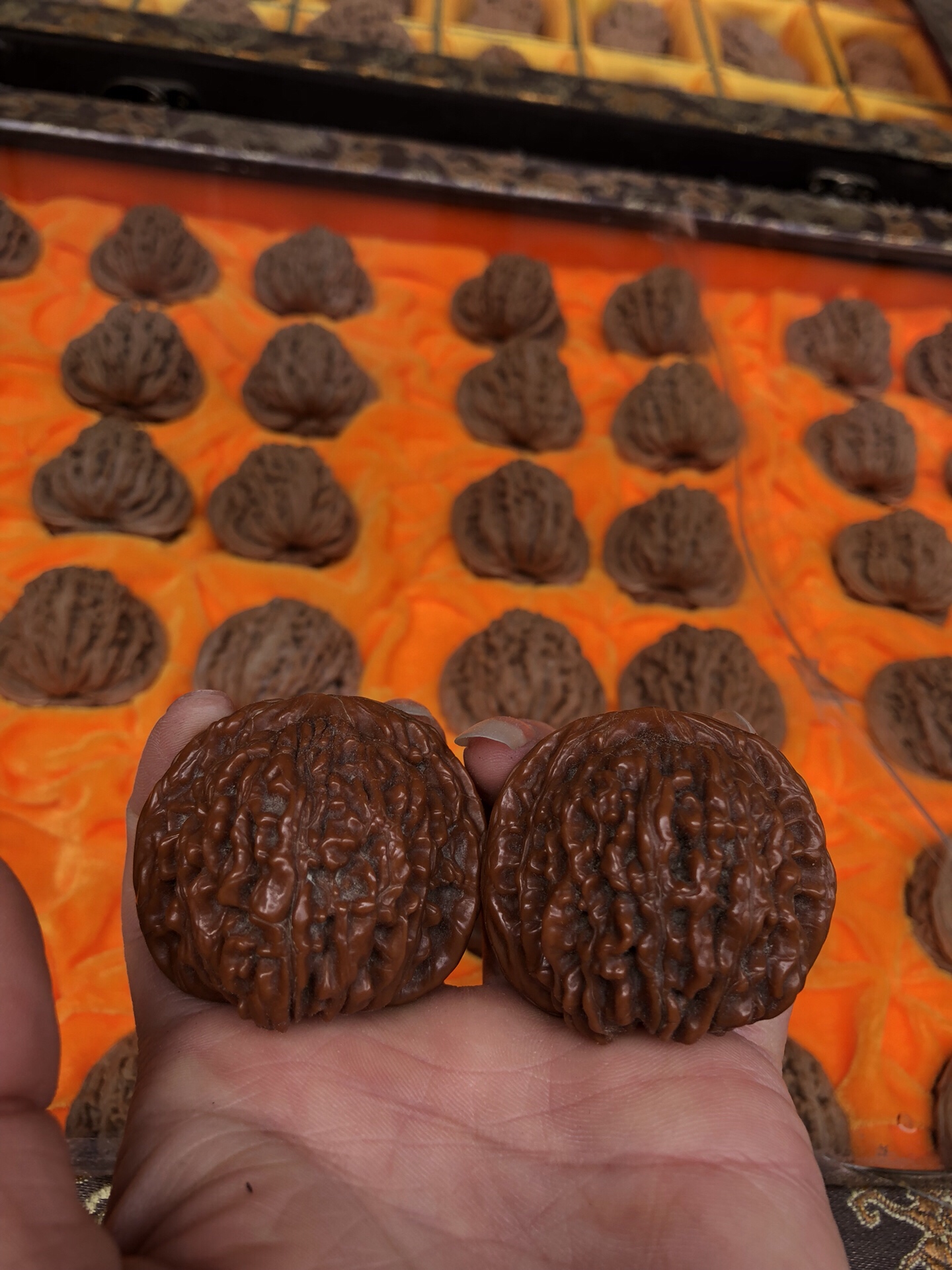 包浆四座楼 196       赞       2月前