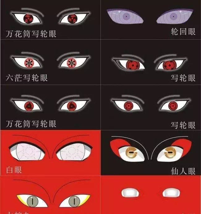 痞气实足的赛兔子1天前