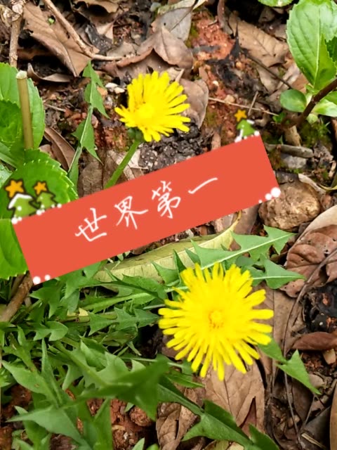 快手直播