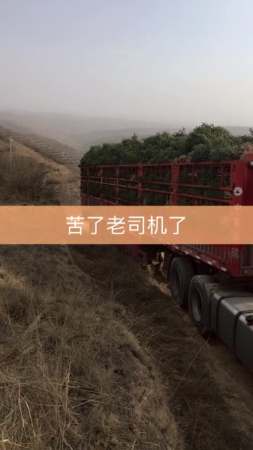 快手主页点赞多（快手点赞作品数已上限怎么弄）