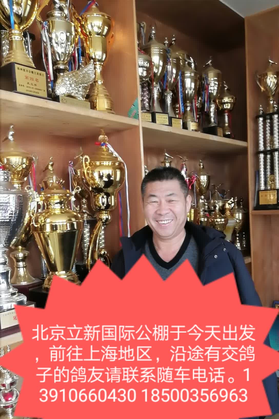 中国鸽王庞立新