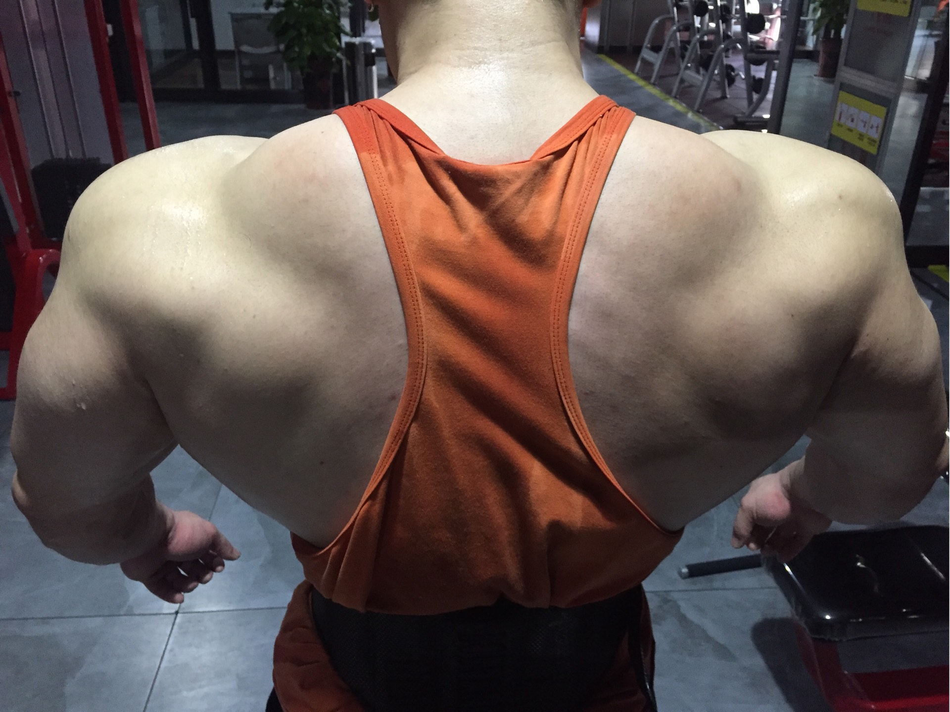 肌肉男背部后背图片