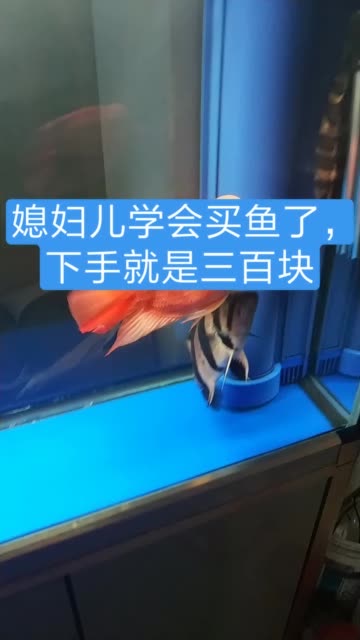 快手一元100个赞秒到假赞(快手一元100个赞秒到假赞多少钱)