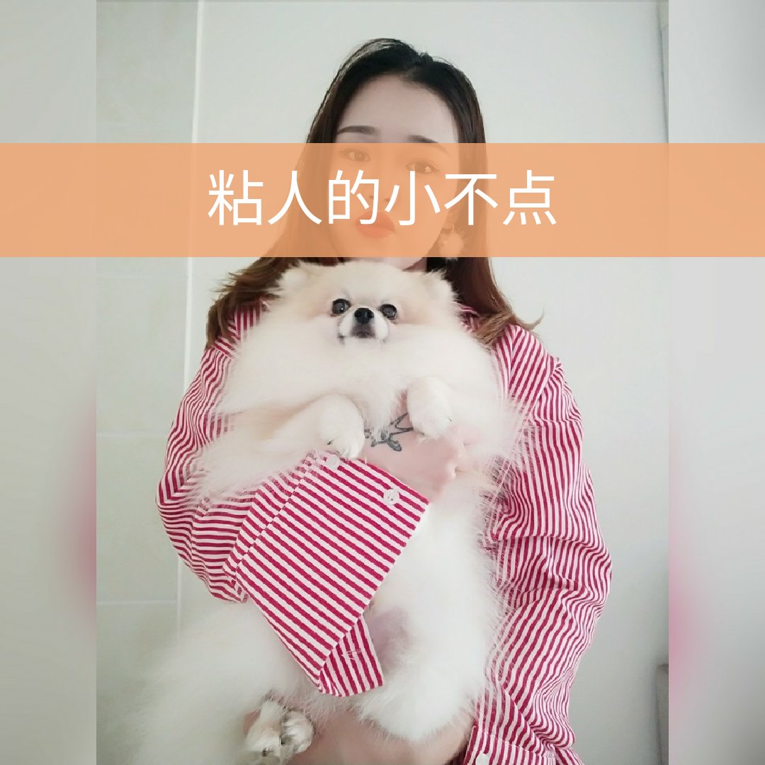 你超爱的小仙女的主页-快手直播