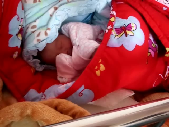 我家小公主生下第二天 694        赞38      3月前