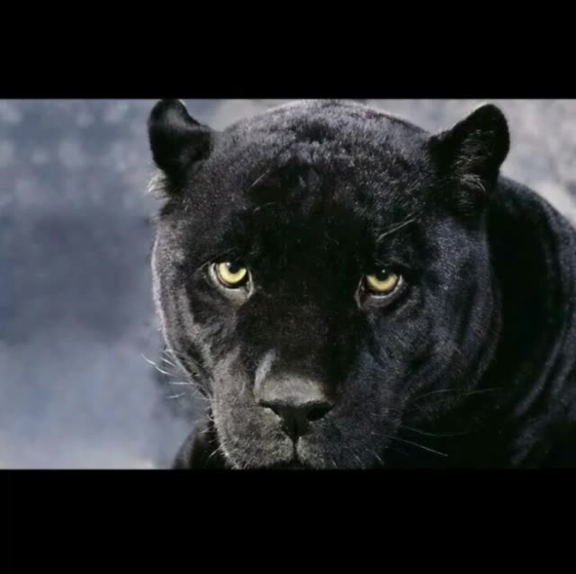 暴徒(o883845946) @ea7–【红姨】(o633370794) @ea7-秋仁(o234601104