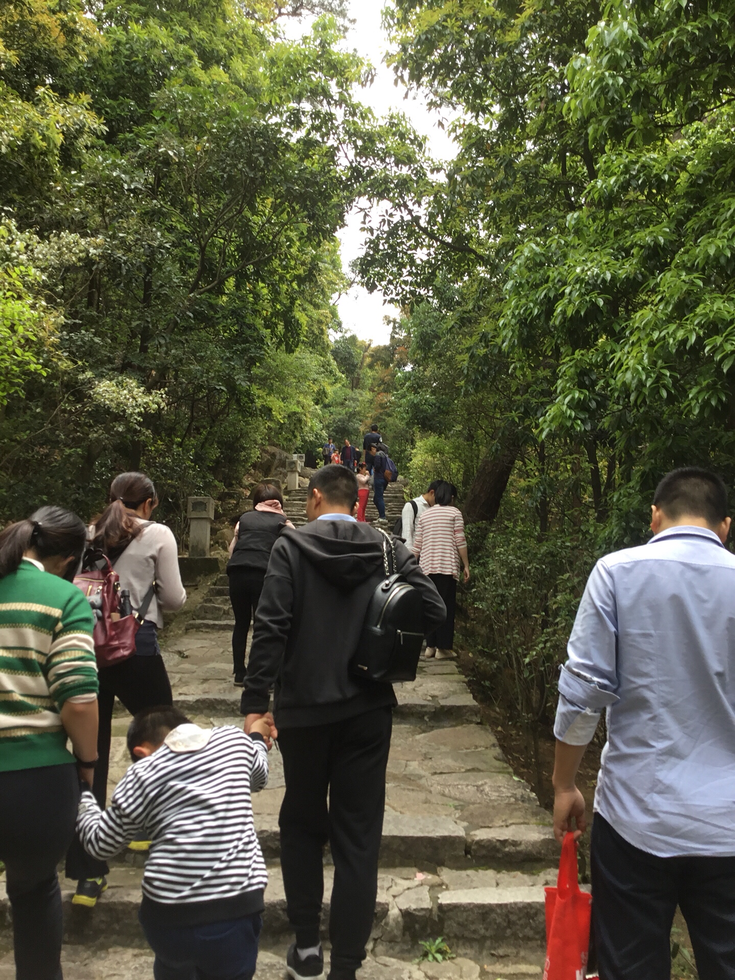 没错这就是鼓山 爬了个山累个半死 150       赞