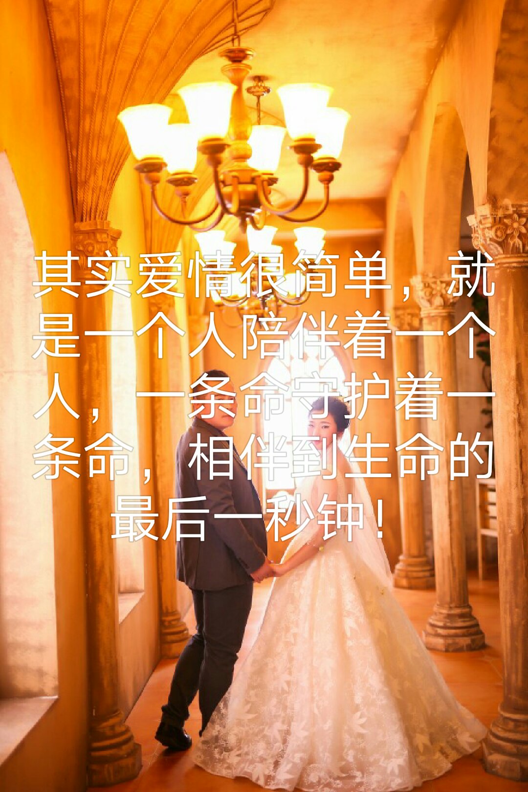 我会陪伴你到老! 239       赞       3月前