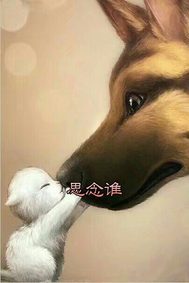 周一凡9797的主页-快手直播