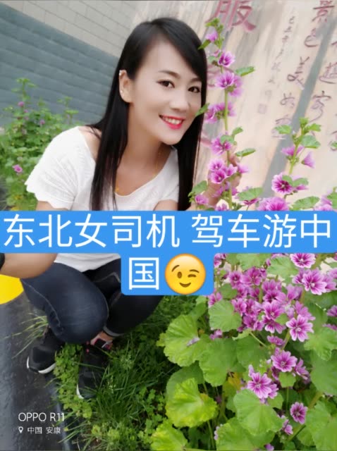 东北虎妞楠姐 冲50