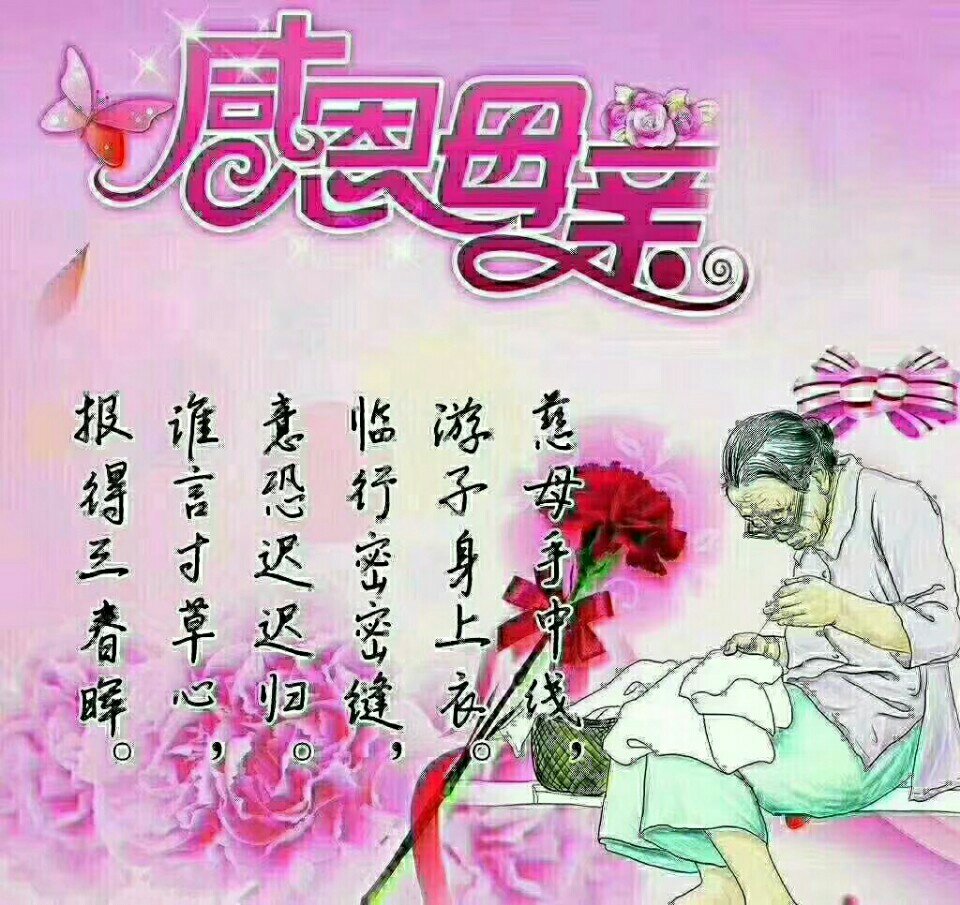 今天是母亲节注天下的母亲,节日快乐           赞       30天前