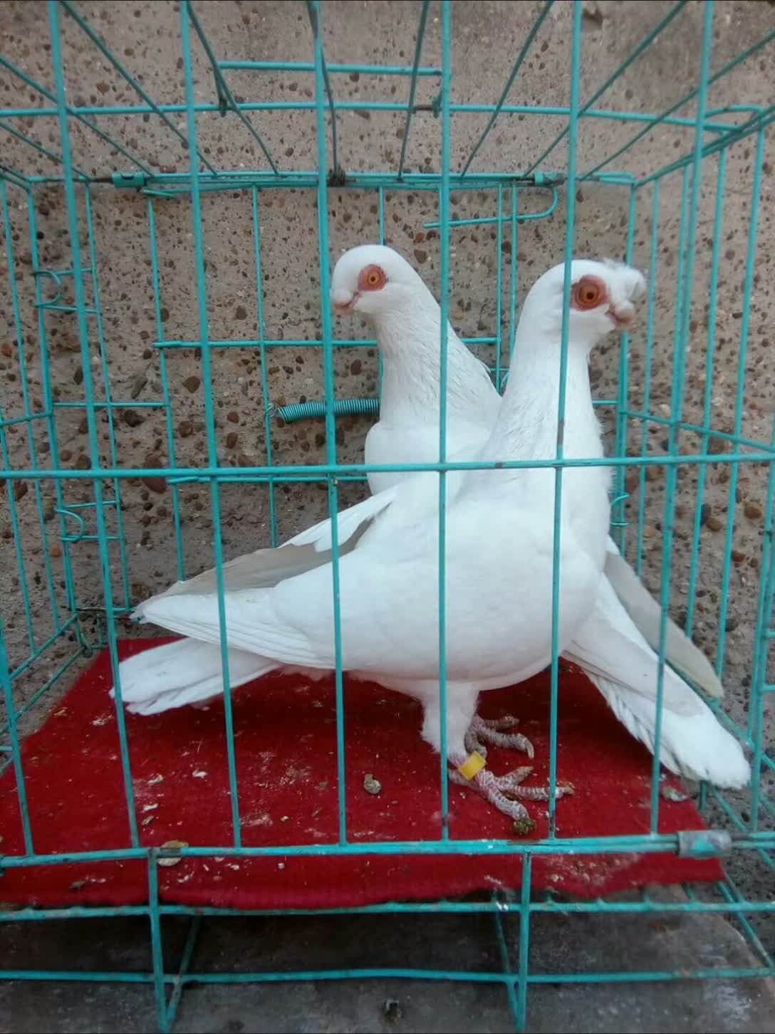 快手,记录世界 记录你