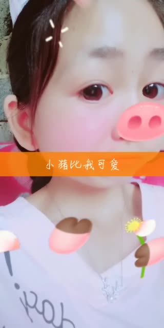 哈哈闲着无聊闹着玩,这只猪猪比我可爱多了 211       赞 3月前