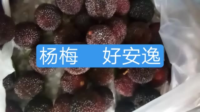 南方 王宏富的主页-快手直播