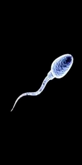 曾今小小少年 我一个朋友 117       赞