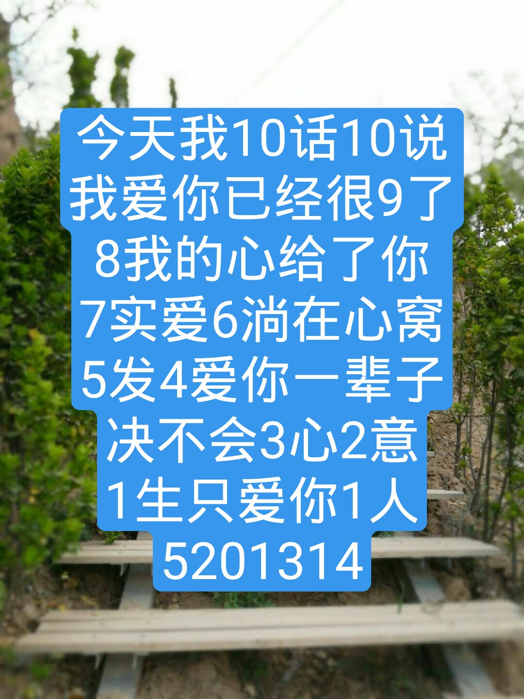 167 播放25 赞                 24 评论              2月前 .