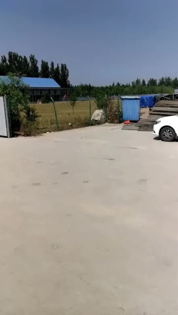 山东龙畅赛鸽中心～刘涛