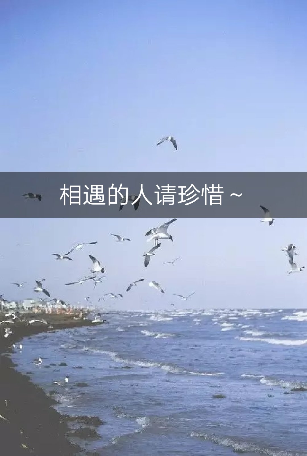 相遇不易,且行且珍惜～ 61       赞                   评论