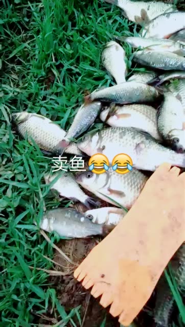 快手直播