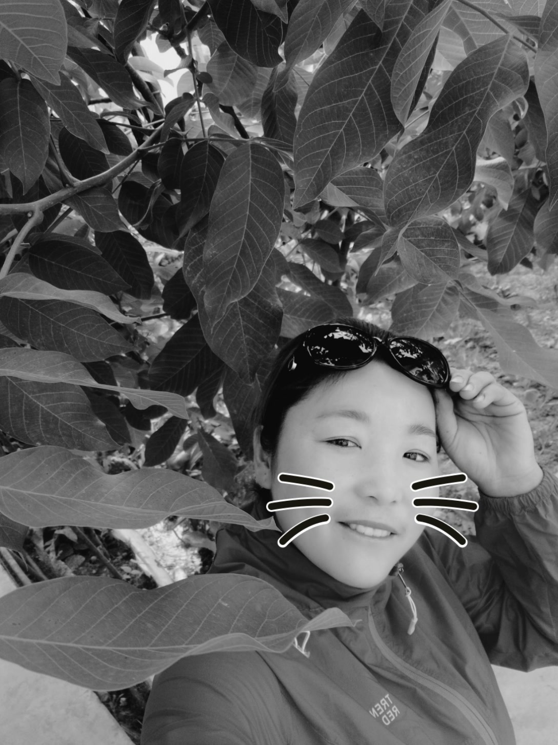 郭青青29017的主页-快手直播