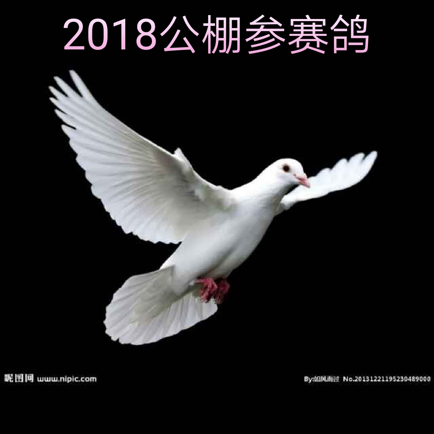 干就完了94909090 - 96阜新龙翔～大勇的快手