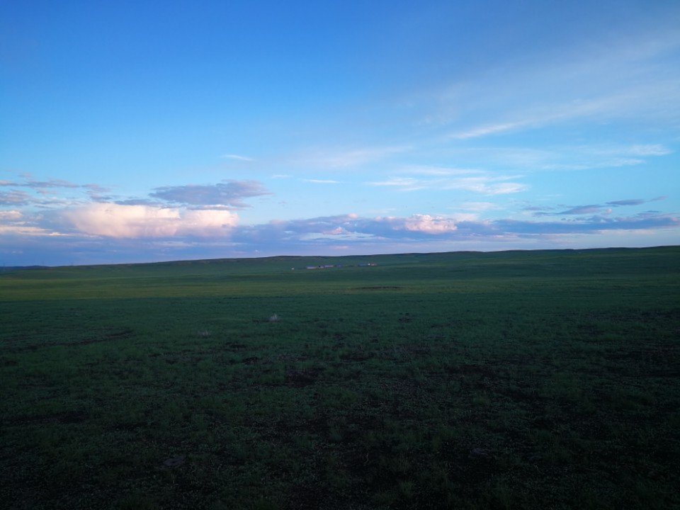 呼伦贝尔西旗羊肉