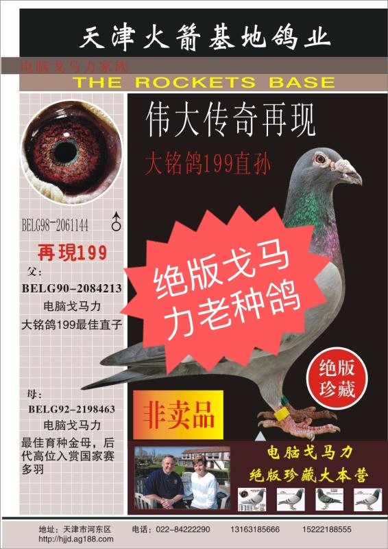 中欧赛鸽文化～林树清的主页-快手直播