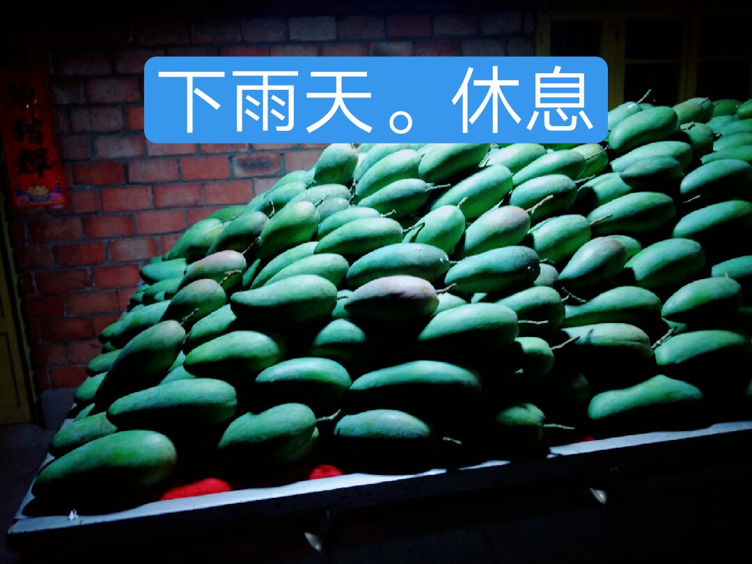 下雨啦.今天休息一天.