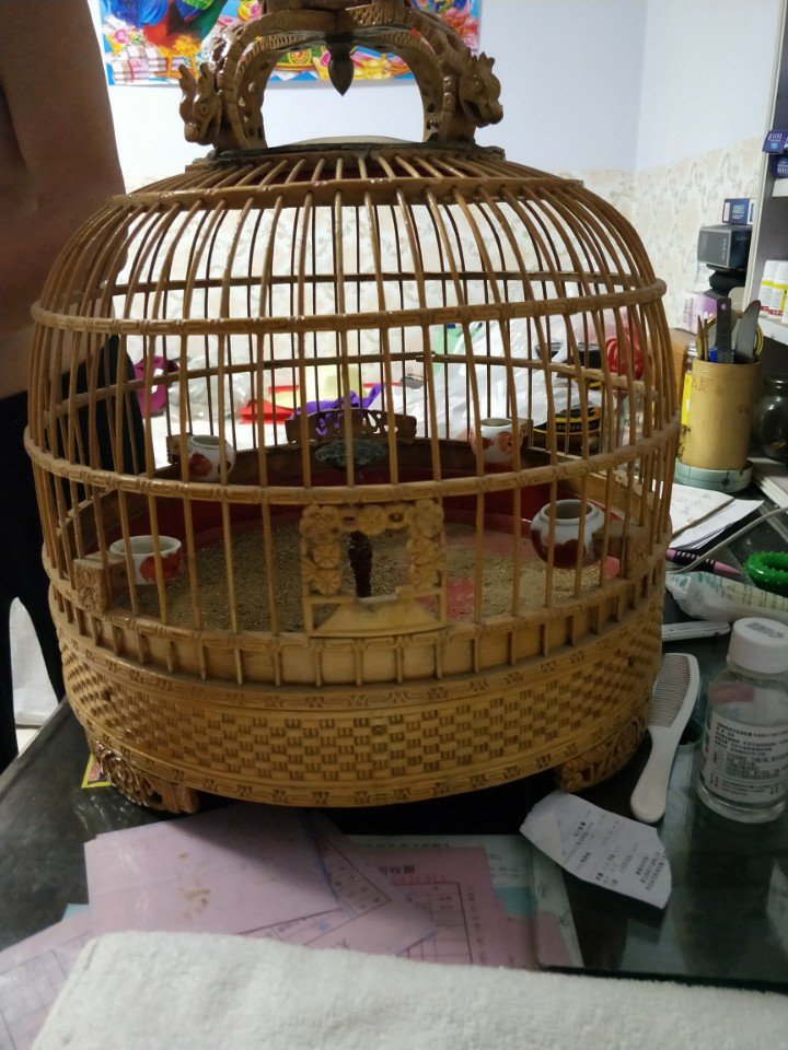 大同百灵鸟