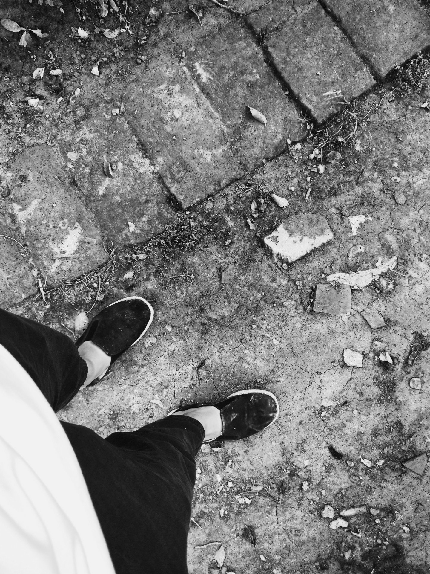 王小浩77的主页-快手直播